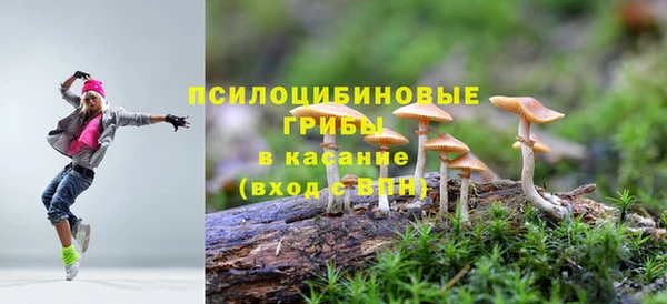 гашик Майский